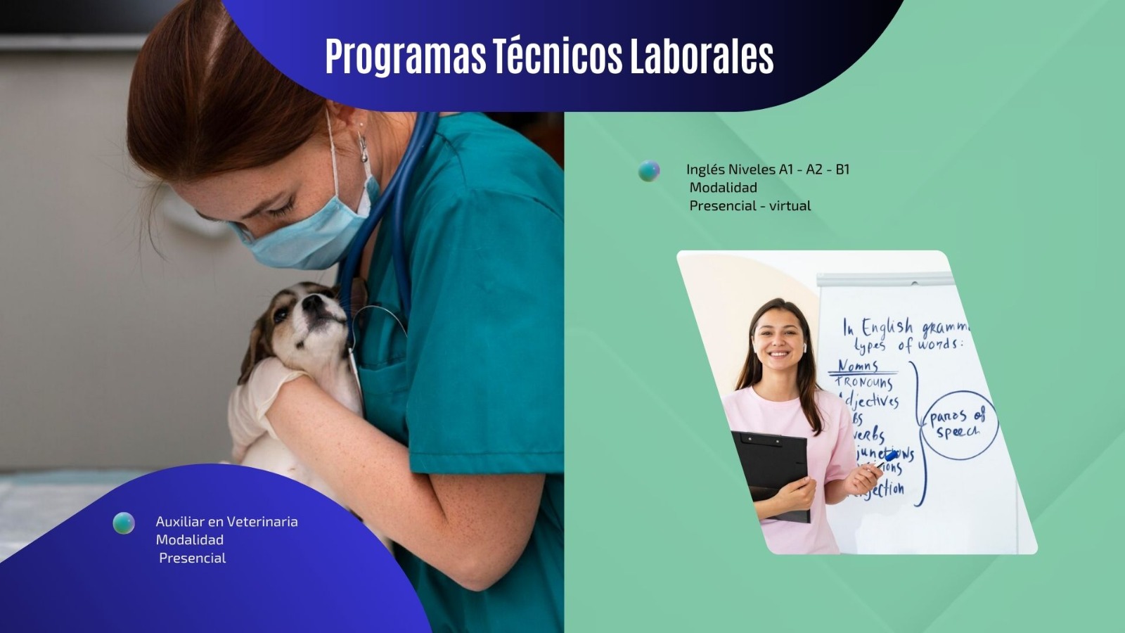 Portafolio Programas 5